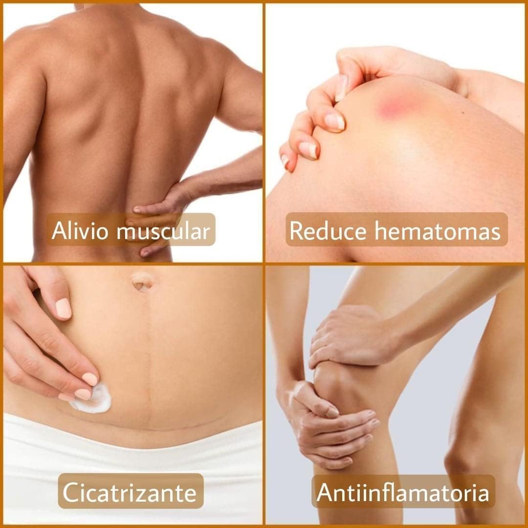 Crema de Caballo Con Magnesio Para Dolor Muscular, 250 ml x 2 Unds, Alivio del Dolor de Espalda, Efecto Refrescante con Extractos Naturales de Manzanilla y Valeriana, Hidratación para la Piel