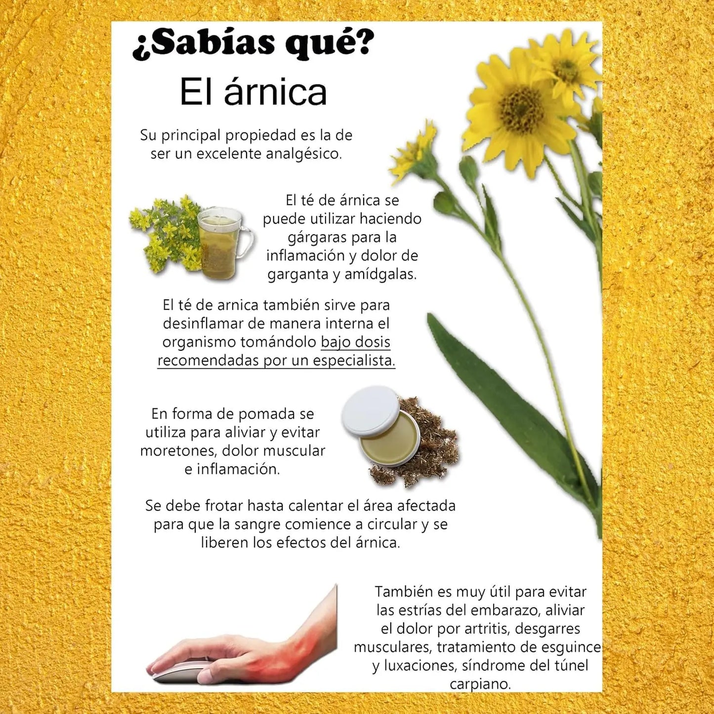 Crema Arnica Naturhof Efecto Antiinflamatoria Alivio De Dolores Musculares y De Huesos Uso Para Masajes Efecyo Calmante Pack 2 Unds BIMART SHOP