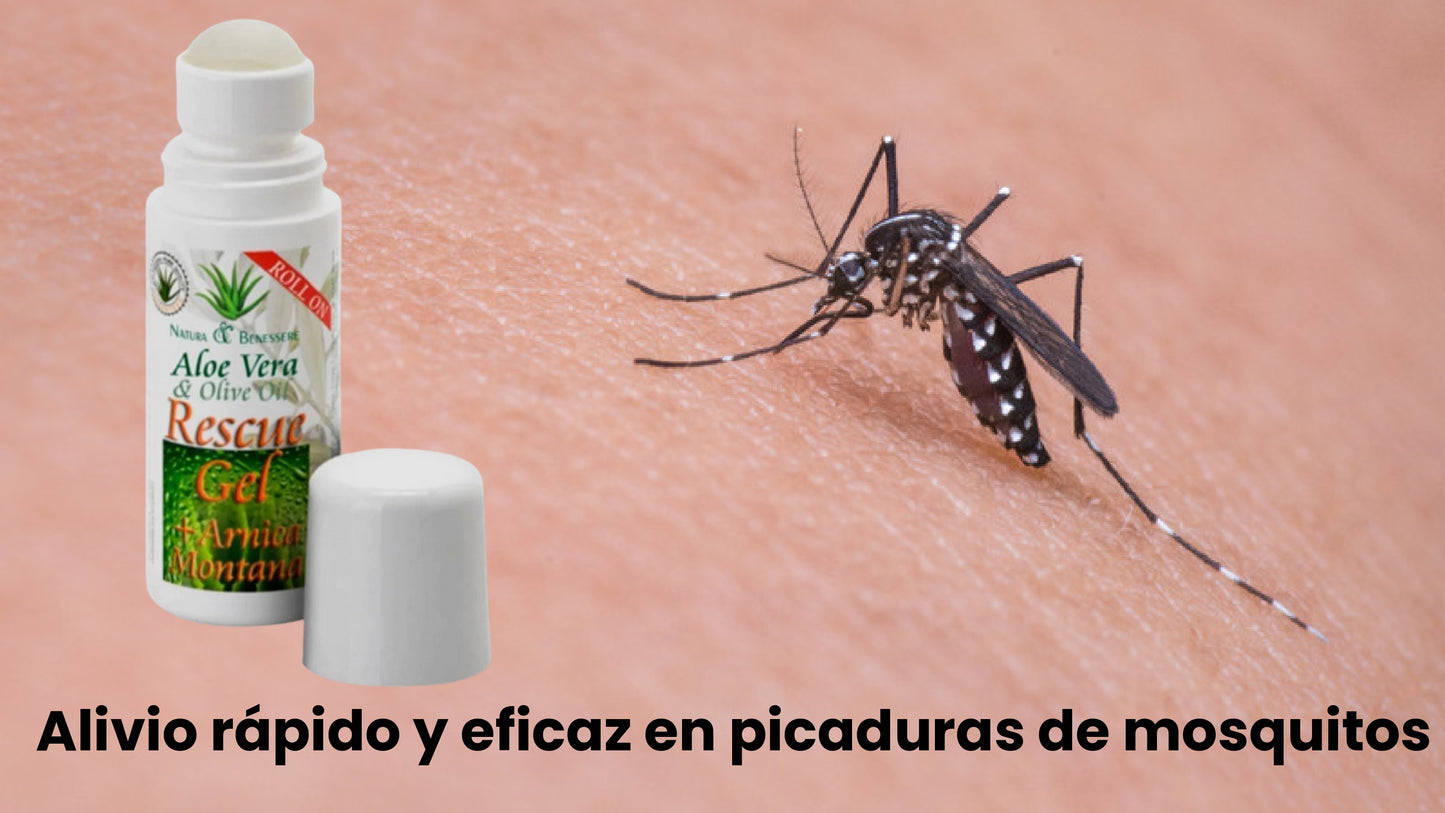 ROLL ON RESCUE GEL ARNICA MONTANA PACK 12 Unidades ⭐⭐⭐⭐⭐