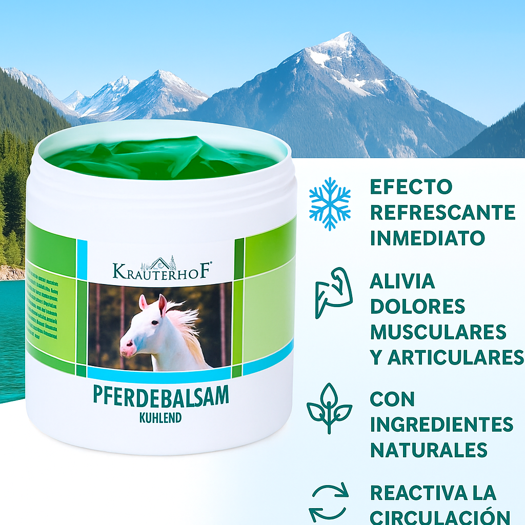 Bálsamo Caballo Bote Grande 500 ml Alivia Las Tensiones Musculares Ideal Masaje Deportivo Gel con Efecto Frio Fabricado con Extractos de Plantas Alivio del Dolor Castaño de Indias Árnica Romero